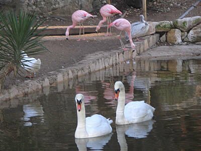 Photos Animaux - Provence