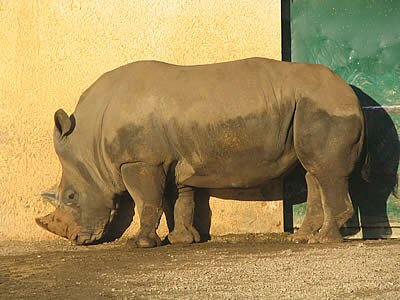 Photos d'animaux - Provence