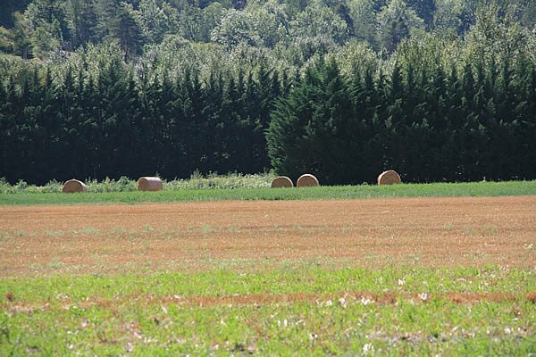 Autour de Guillestre - Provence