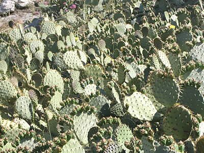 Photos - Allauch - Provence