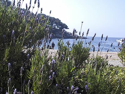 Calanque du Port d'Alon - Provence