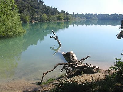 bonde - Provence