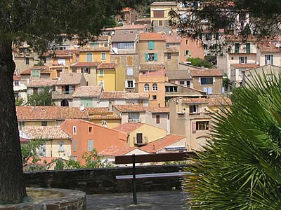 Balade florale &agrave; Bormes-les-Mimosas - Provence