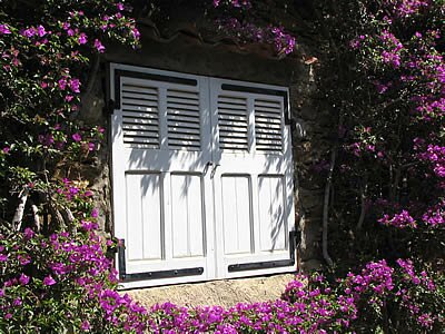 Balade florale &agrave; Bormes-les-Mimosas - Provence