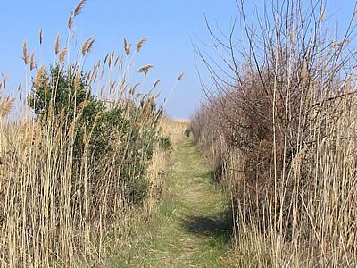 Balade - Camargue - Provence