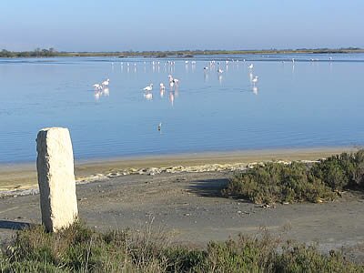 Un Tour en Camargue - Provence