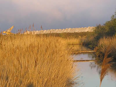 Un Tour en Camargue - Provence