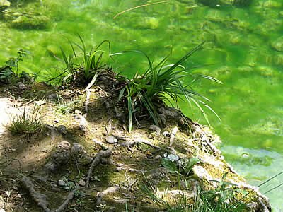 Vall&eacute;e des Carmes - Barjols - Provence