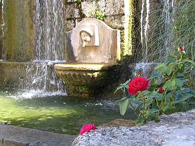 Vall&eacute;e des Carmes - Barjols - Provence
