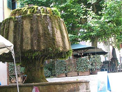 Vall&eacute;e des Carmes - Barjols - Provence