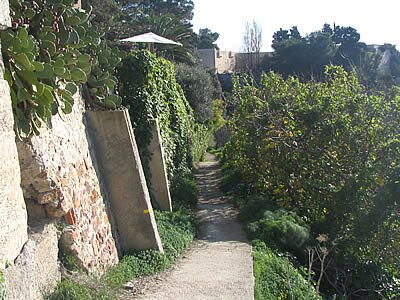 Pr&eacute;sentation Balade sur le littoral pr&egrave;s de Toulon - Provence