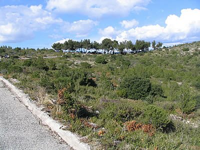 Balade dans les Calanques - En-Vau - Provence