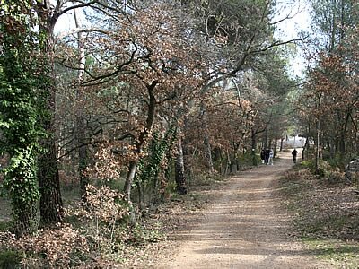 Parcours sant&eacute;