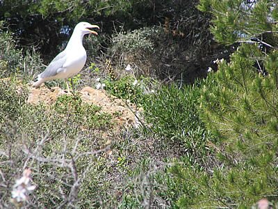 Balade sur l'&icirc;le Verte - Provence