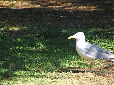 Parcs &agrave; Marseille - Provence
