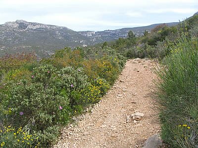 Sur les pas de Marcel Pagnol - balade en Provence