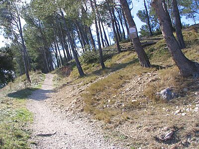 Balade dans la Montagnette - Provence