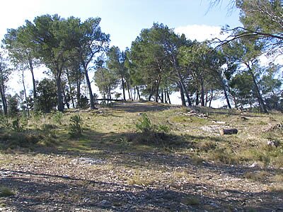 Balade dans la Montagnette - Provence