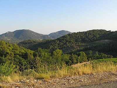 Dentelles de Montmirail - Provence