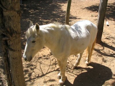 La ciotat - Provence
