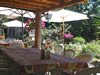 Restaurant en Camargue