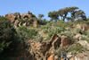 Photo de paysage