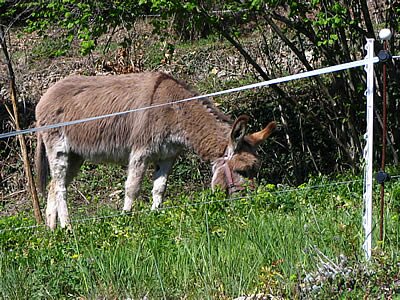Photo de la sortie