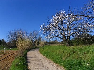 Photo de la sortie