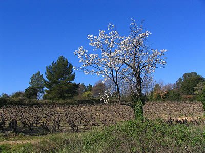 Photo de la sortie