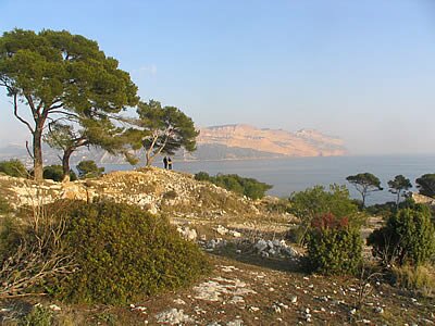 Balade dans les calanques de Marseille - Cassis