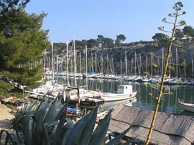 Balade dans les calanques de Marseille - Cassis