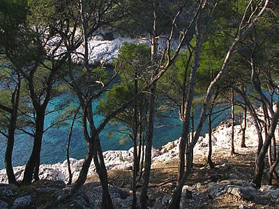 Balade dans les calanques de Marseille - Cassis