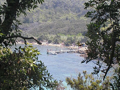 Balade sur l'&icirc;le de Port Cros - Provence