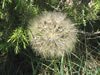 Nature Provence - Barrage de Bimont