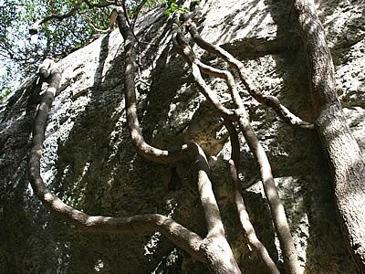 Gorges de Regalon - Luberon - Provence
