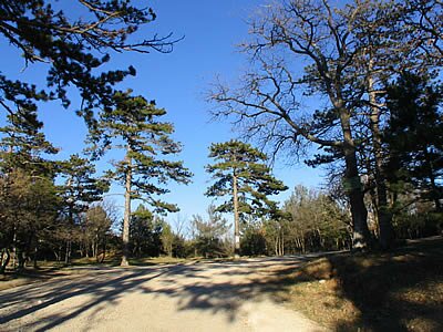 Balade vers l'ermitage de saint-Jean du Puy - Provence