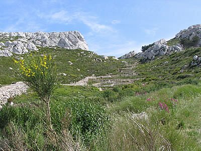 Balade &agrave; Sormiou - Provence