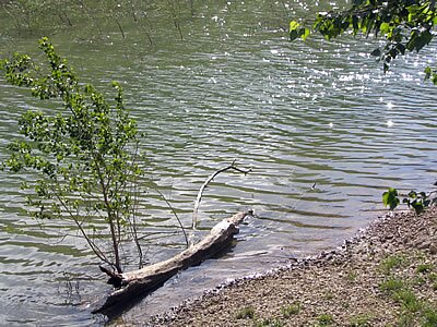 Barrage Zola - Sainte Victoire
