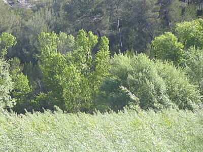 Barrage Zola - Sainte Victoire