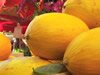 Melons jaunes