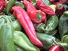 Piments verts et rouges