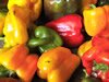 Poivrons multicolores
