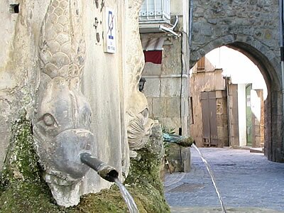 Les photos de Bargemon