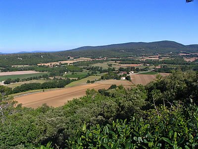 Fox Amphoux en images