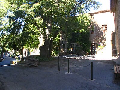 photographie Fox Amphoux