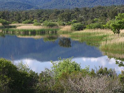 Les photos de Le Cannet des Maures