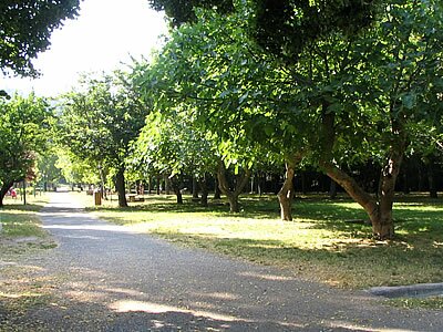 Photo Parc de Belgentier