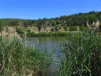 Photo Plan d'eau de Monieux