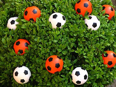 Photo Plante ballon de foot